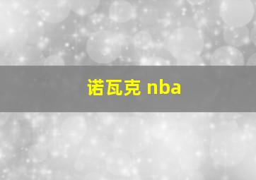 诺瓦克 nba